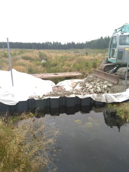 retencja wody, faszynowanie brzegów